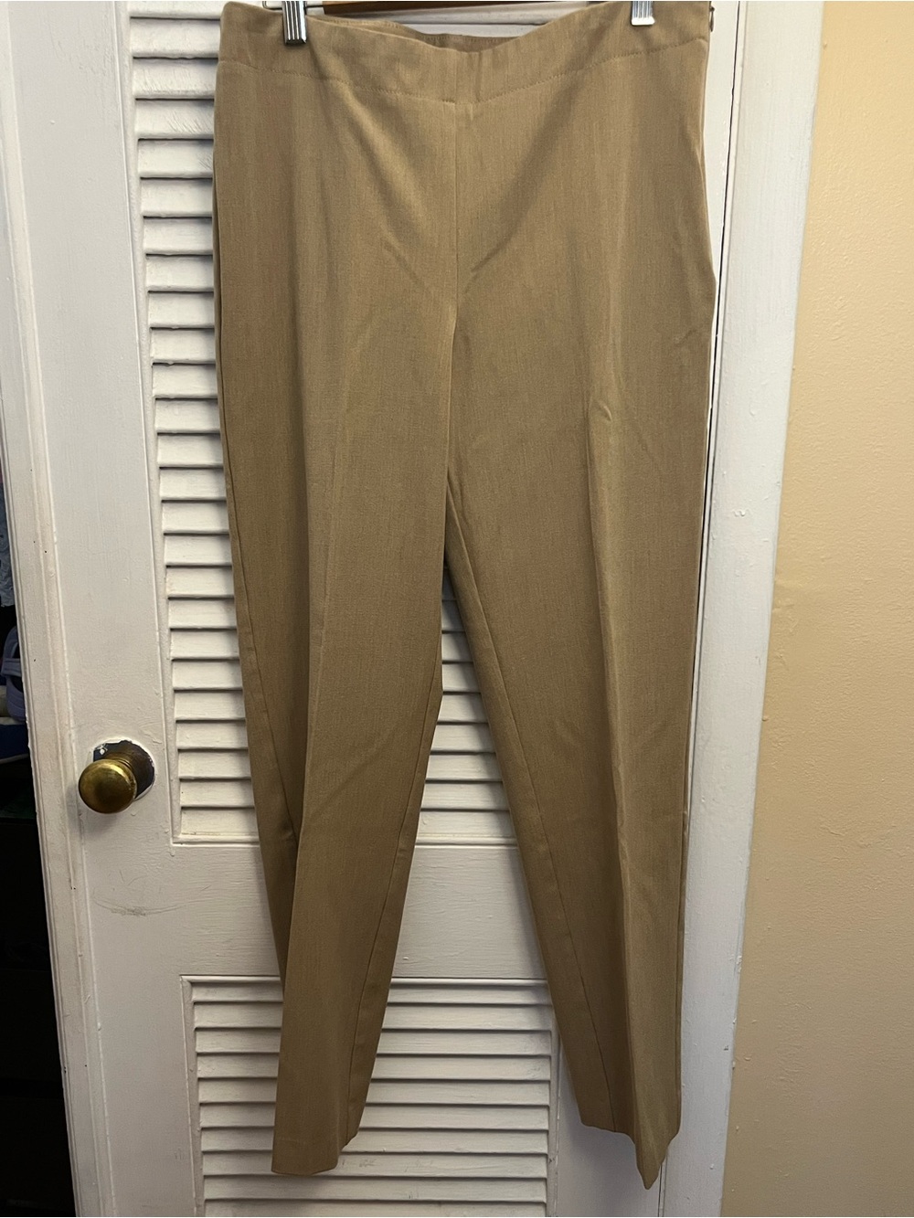 Talbots Women's Classic Side Zip Pants Size 10 Flat Front beige camel Stretch